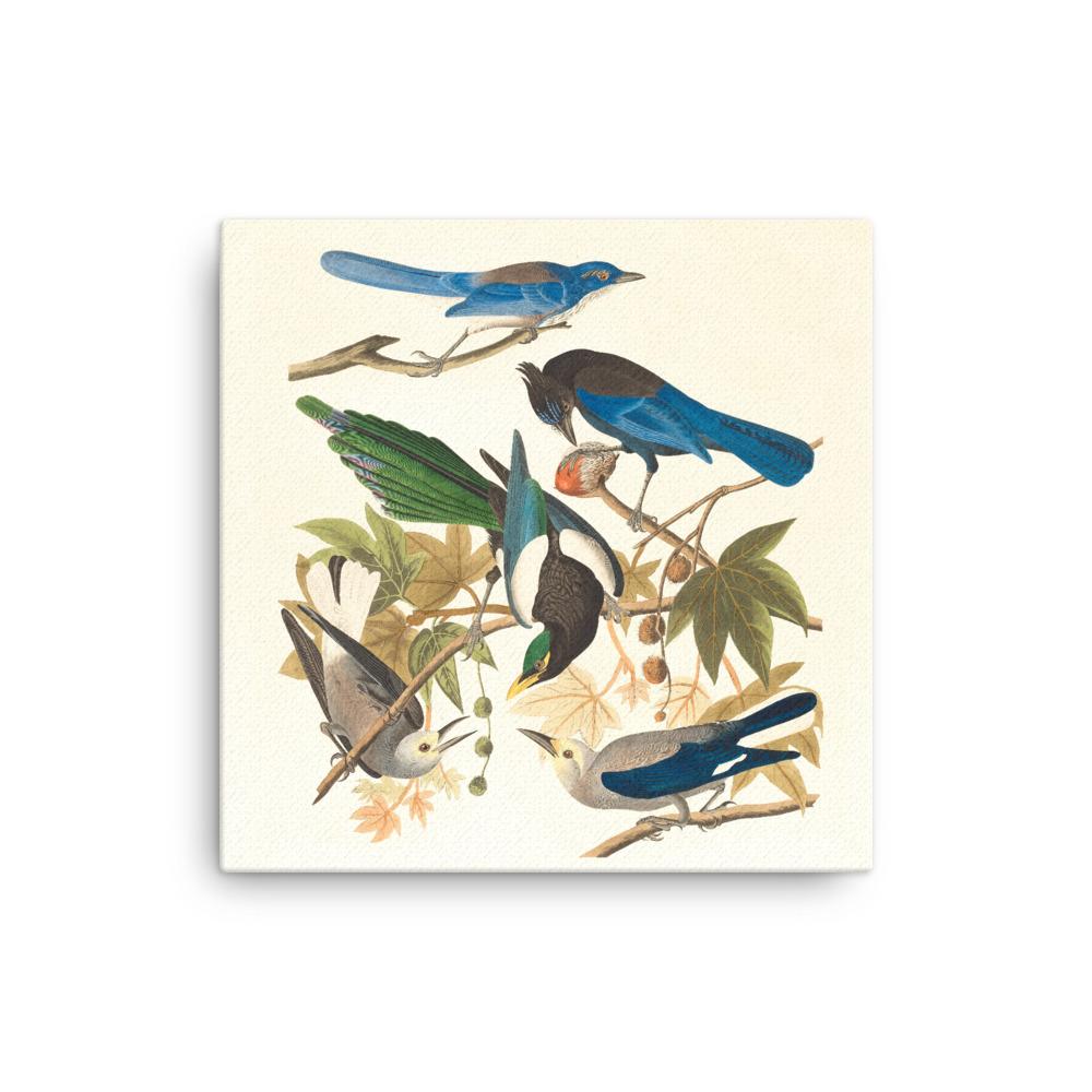 fünf Vögel auf den Ästen - Leinwand Boston Public Library 30x30 cm artlia