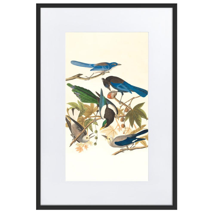 fünf Vögel auf den Ästen - Poster im Rahmen mit Passepartout Boston Public Library schwarz / 61×91 cm artlia