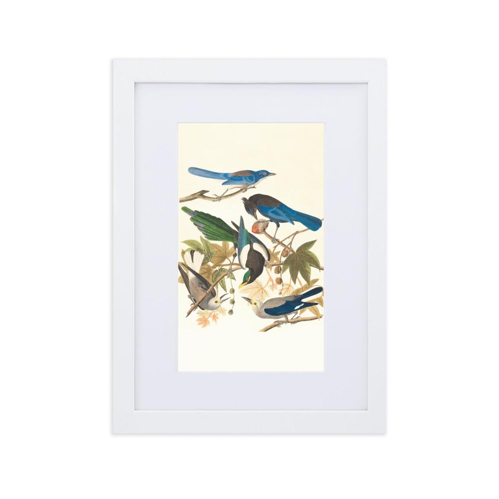 fünf Vögel auf den Ästen - Poster im Rahmen mit Passepartout Boston Public Library weiß / 21×30 cm artlia