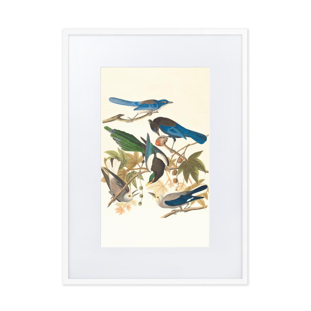 fünf Vögel auf den Ästen - Poster im Rahmen mit Passepartout Boston Public Library weiß / 50×70 cm artlia