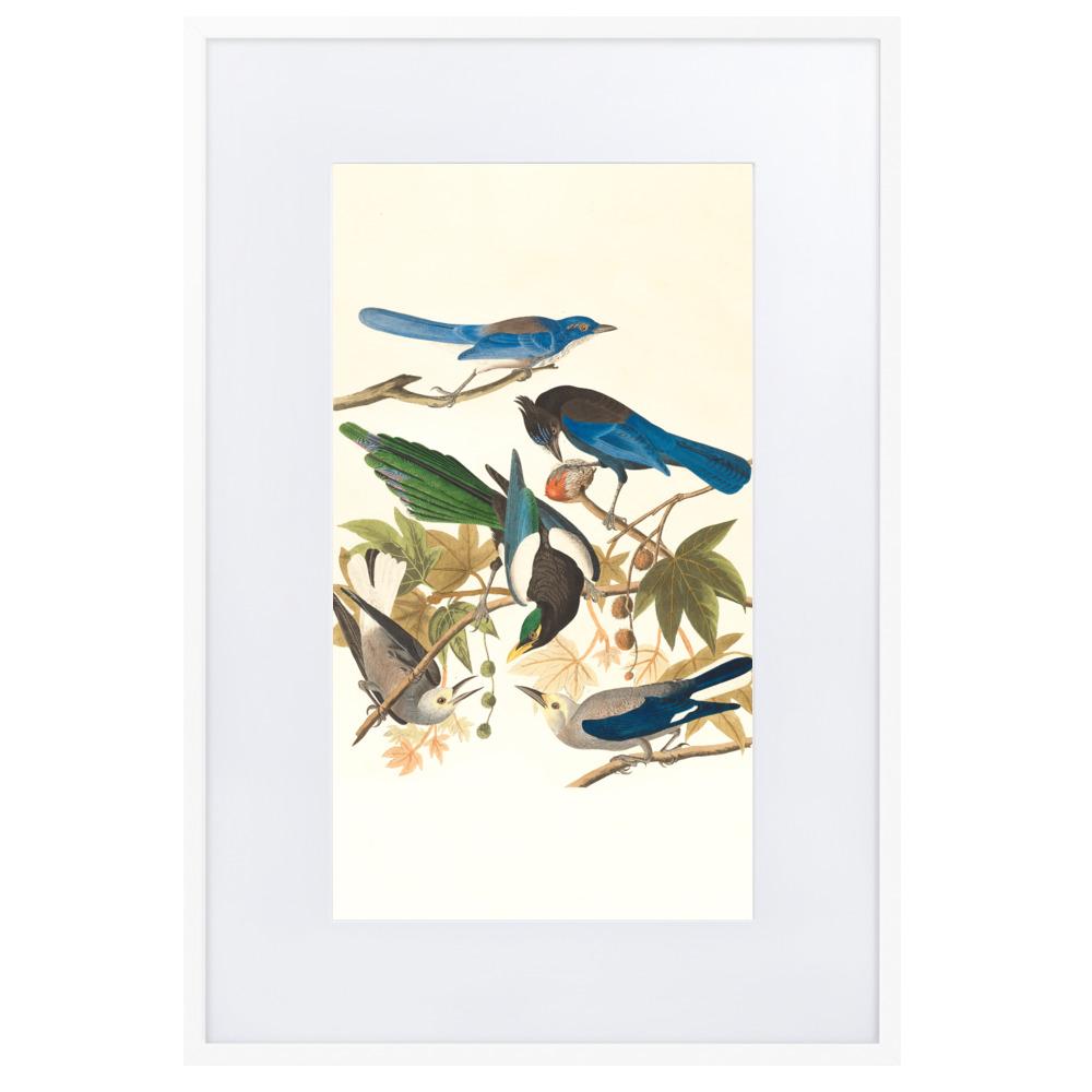 fünf Vögel auf den Ästen - Poster im Rahmen mit Passepartout Boston Public Library weiß / 61×91 cm artlia