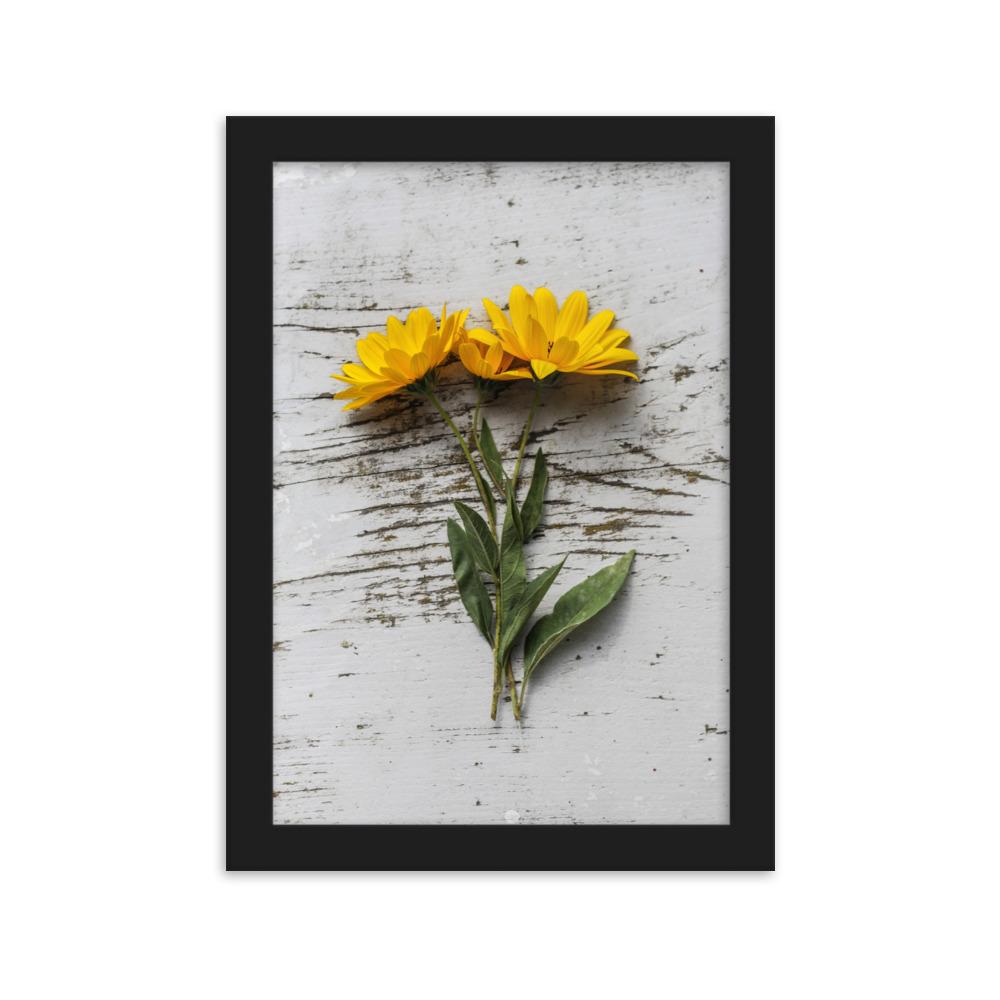 gelbe Blumen Yellow Flowers 6 - Poster im Rahmen artlia Schwarz / 21×30 cm artlia