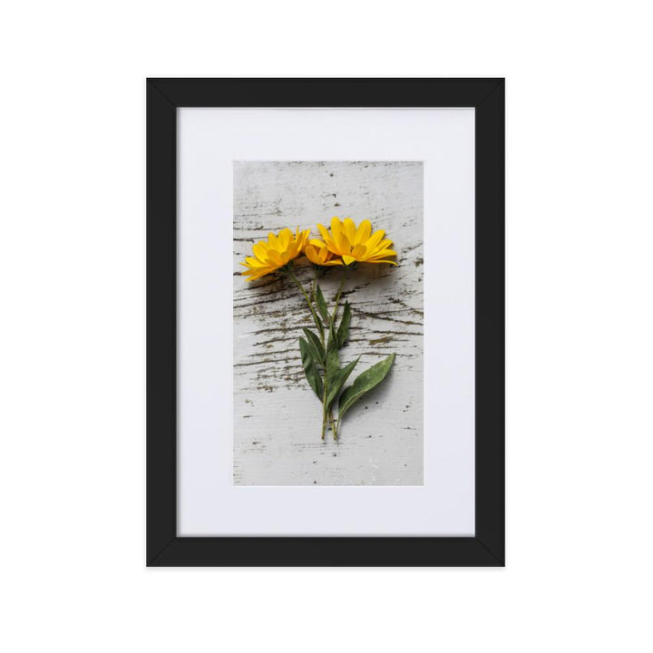 gelbe Blumen Yellow Flowers 6 - Poster im Rahmen mit Passepartout artlia Schwarz / 21×30 cm artlia