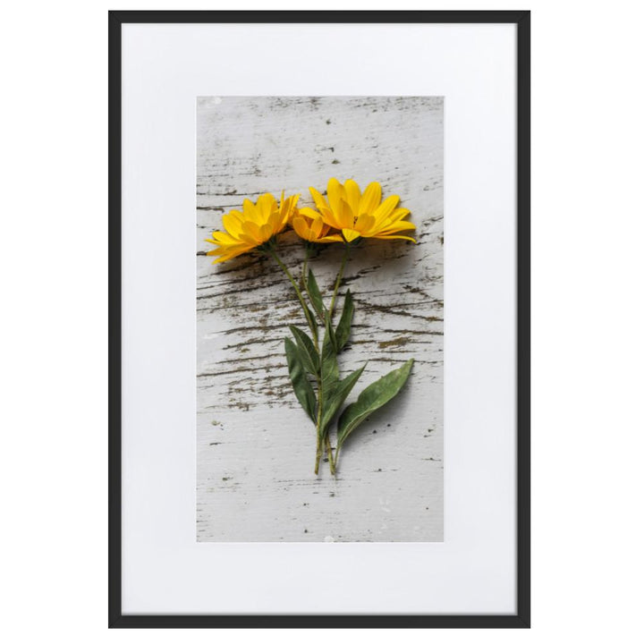 gelbe Blumen Yellow Flowers 6 - Poster im Rahmen mit Passepartout artlia Schwarz / 61×91 cm artlia