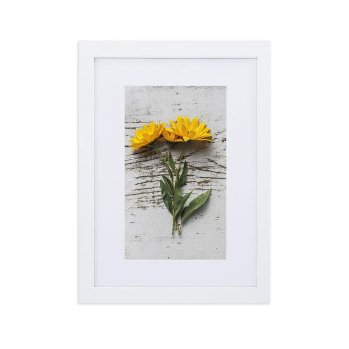 gelbe Blumen Yellow Flowers 6 - Poster im Rahmen mit Passepartout artlia Weiß / 21×30 cm artlia