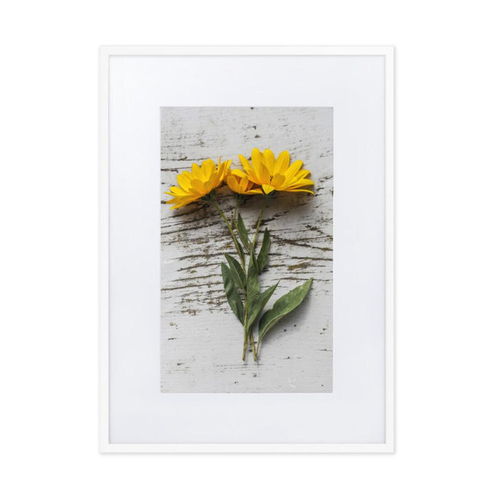 gelbe Blumen Yellow Flowers 6 - Poster im Rahmen mit Passepartout artlia Weiß / 50×70 cm artlia