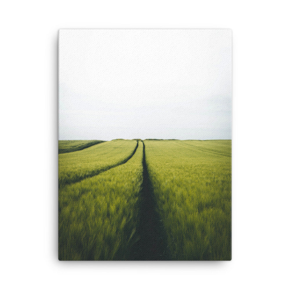 Gerstenfeld barley field - Leinwand Kuratoren von artlia 30x41 cm artlia