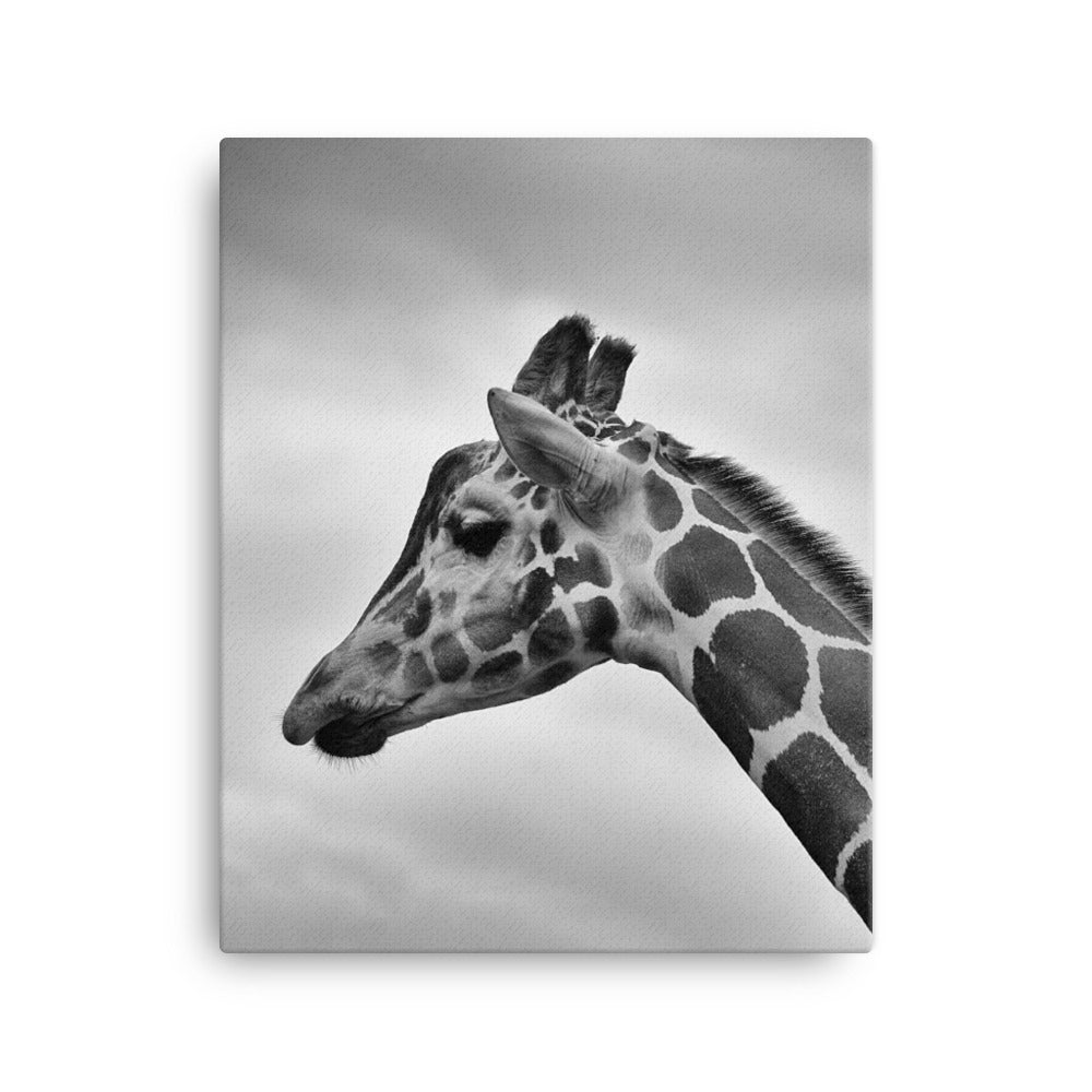 Giraffe - Leinwand Kuratoren von artlia 41x51 cm artlia