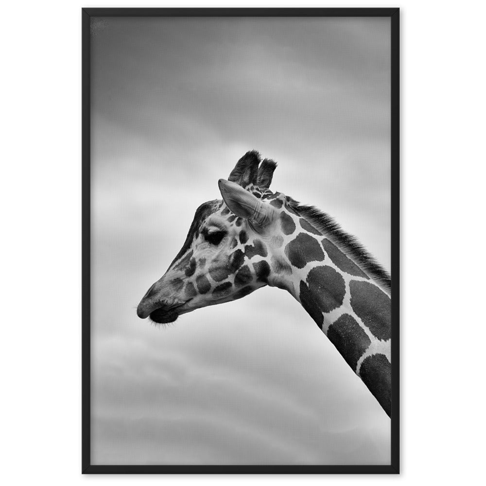 Giraffe - Poster im Rahmen Kuratoren von artlia Schwarz / 61×91 cm artlia