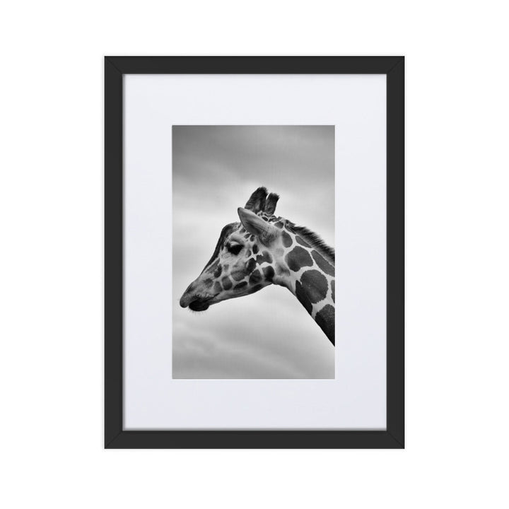 Giraffe - Poster im Rahmen mit Passepartout Kuratoren von artlia Schwarz / 30×40 cm artlia