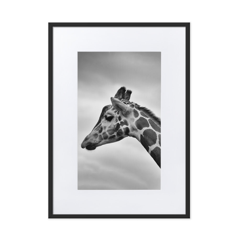 Giraffe - Poster im Rahmen mit Passepartout Kuratoren von artlia Schwarz / 50×70 cm artlia