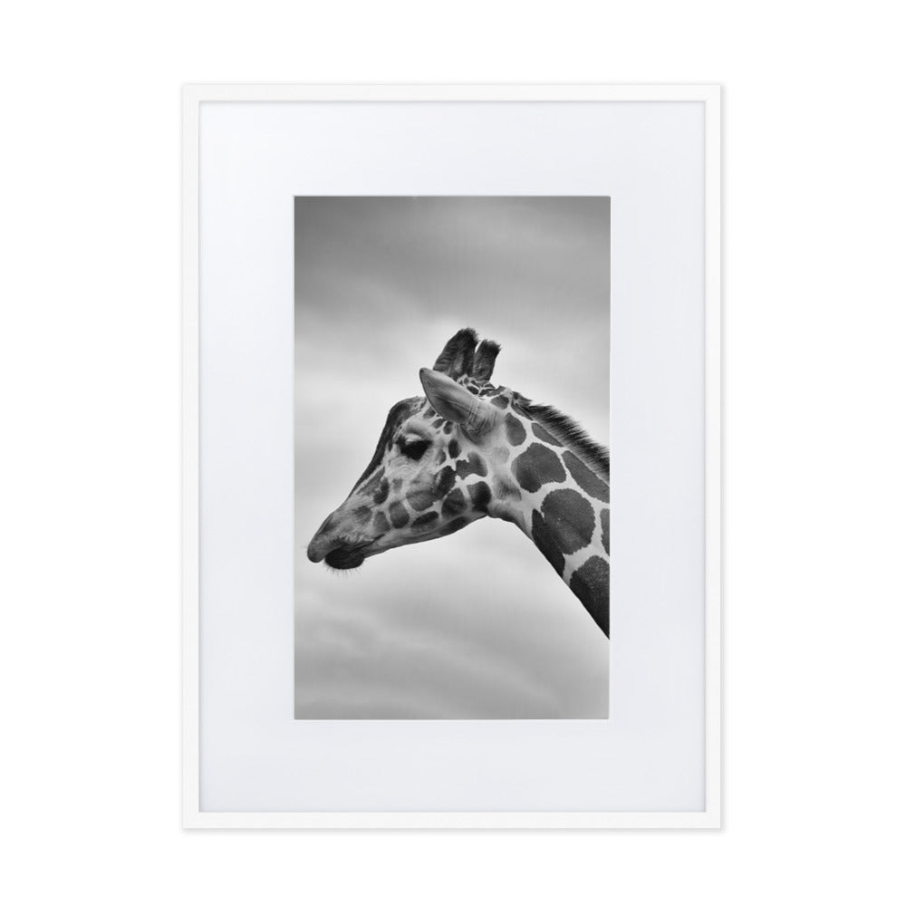 Giraffe - Poster im Rahmen mit Passepartout Kuratoren von artlia Weiß / 50×70 cm artlia