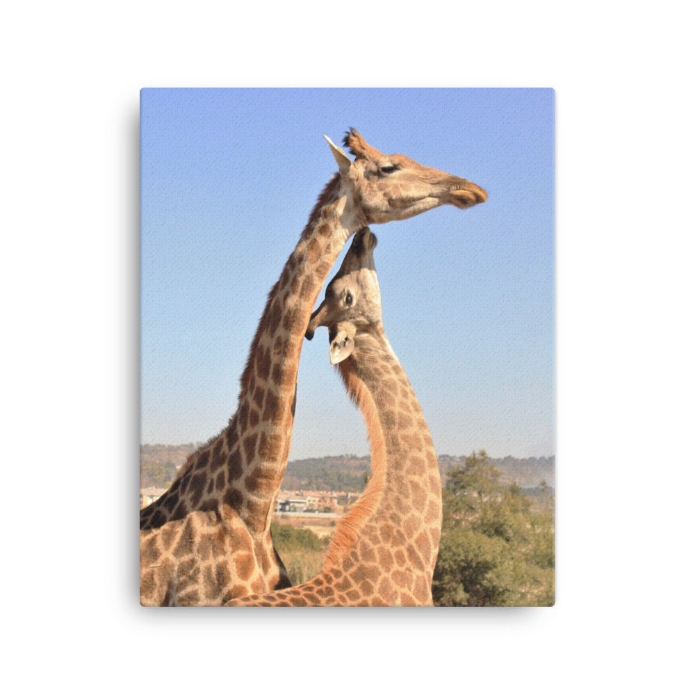 Giraffen - Leinwand Kuratoren von artlia 41x51 cm artlia
