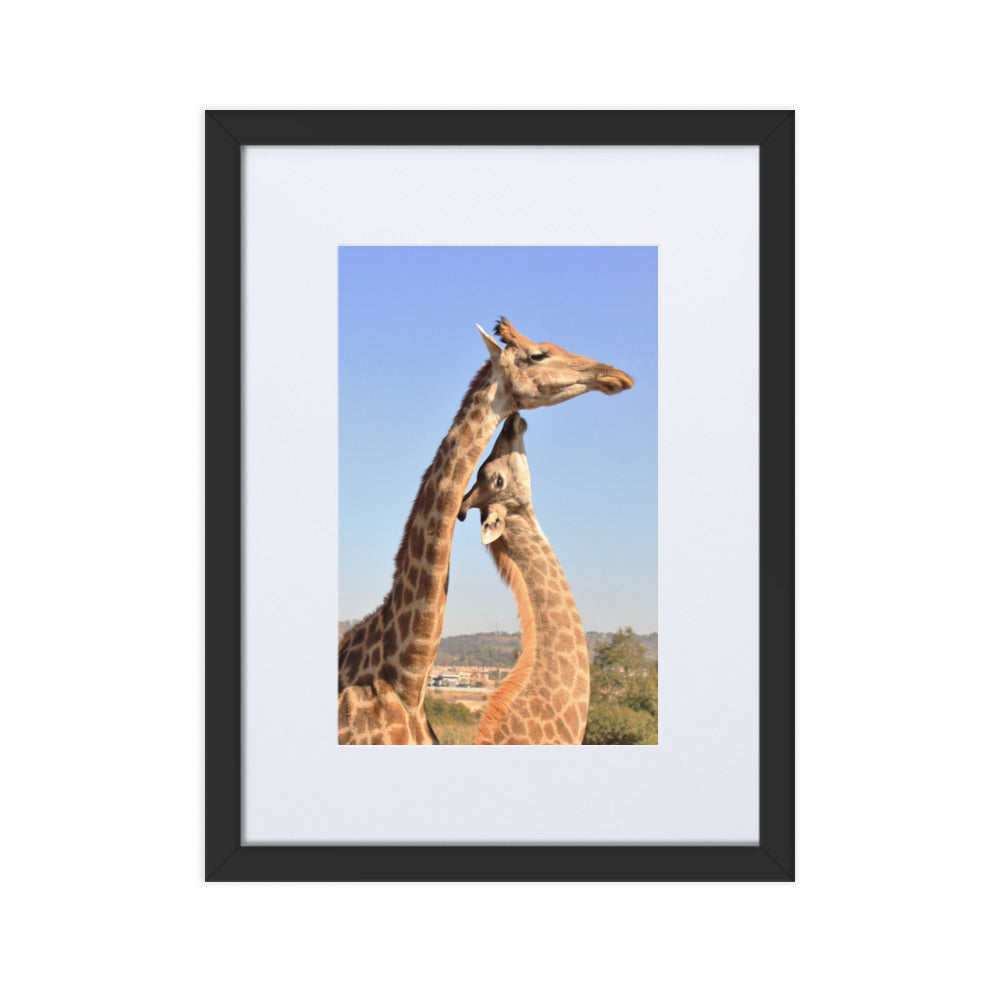 Giraffen - Poster im Rahmen mit Passepartout Kuratoren von artlia Schwarz / 30×40 cm artlia