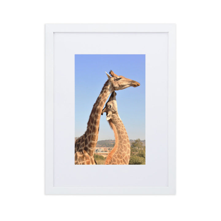 Giraffen - Poster im Rahmen mit Passepartout Kuratoren von artlia Weiß / 30×40 cm artlia