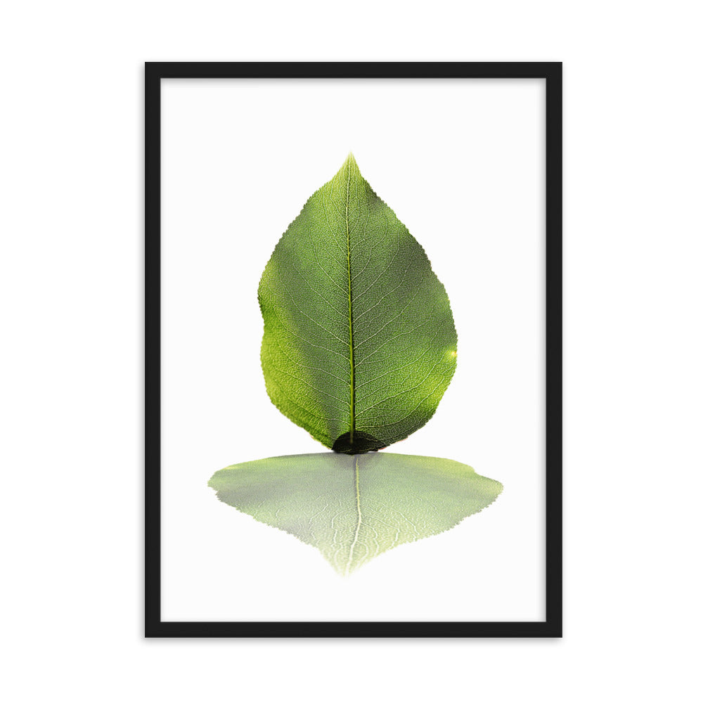 grünes Blatt - Poster im Rahmen Kuratoren von artlia Schwarz / 50×70 cm artlia
