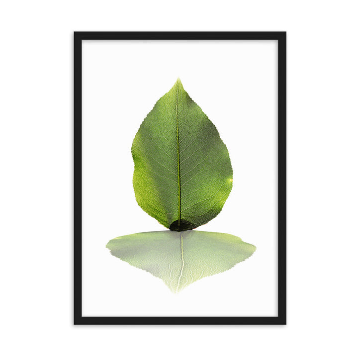 grünes Blatt - Poster im Rahmen Kuratoren von artlia Schwarz / 50×70 cm artlia