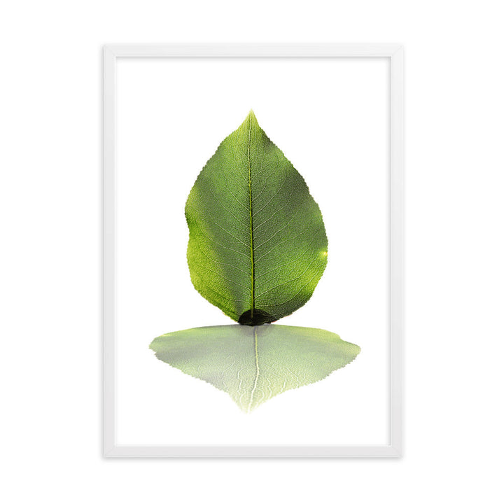 grünes Blatt - Poster im Rahmen Kuratoren von artlia Weiß / 50×70 cm artlia