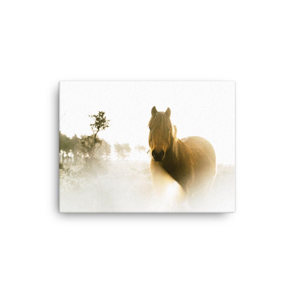 Horse in Dream Pferd im Traum - Leinwand artlia 12″×16″ artlia