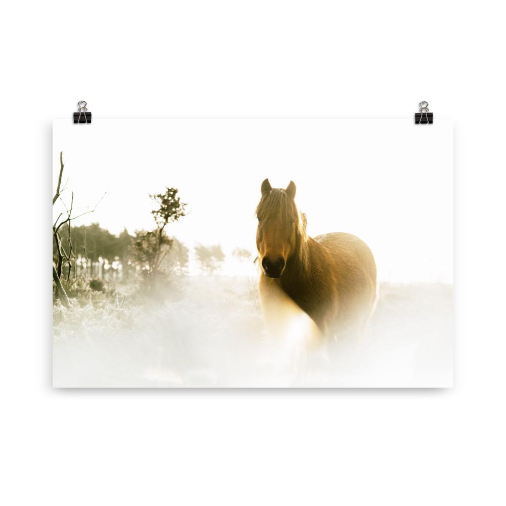 Horse in Dream Pferd im Traum - Poster artlia 61×91 cm artlia
