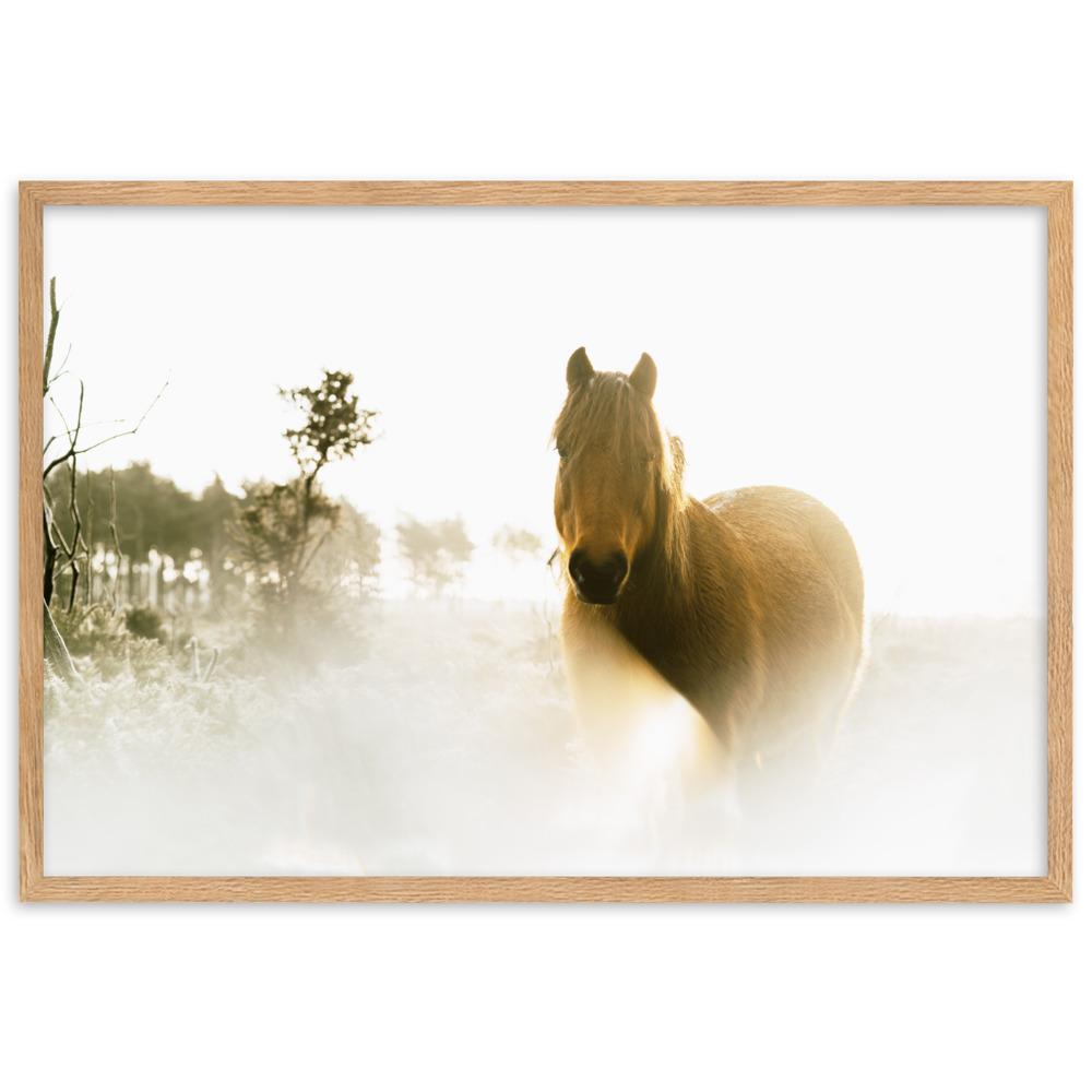 Horse in Dream Pferd im Traum - Poster im Rahmen artlia Oak / 61×91 cm artlia