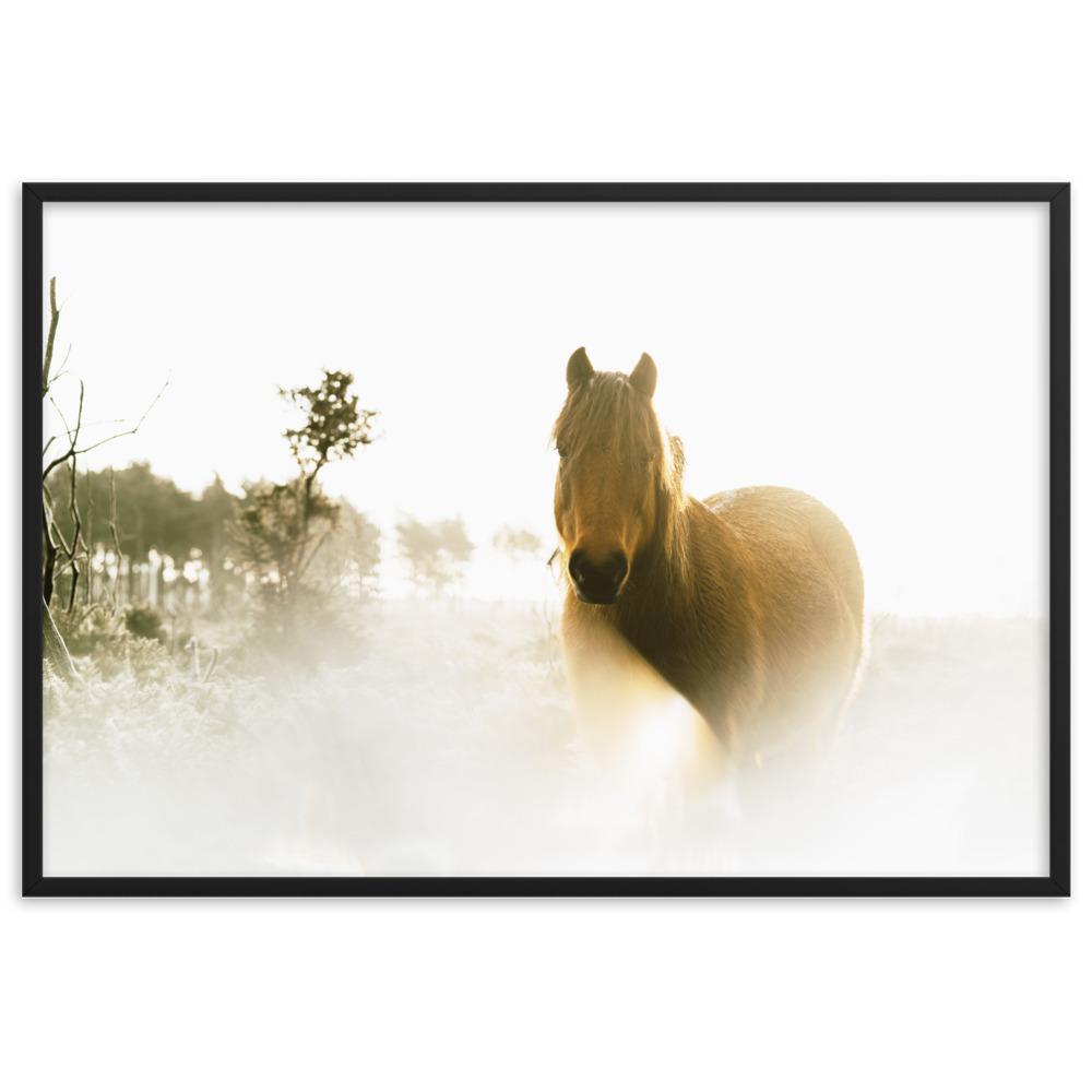 Horse in Dream Pferd im Traum - Poster im Rahmen artlia Schwarz / 61×91 cm artlia