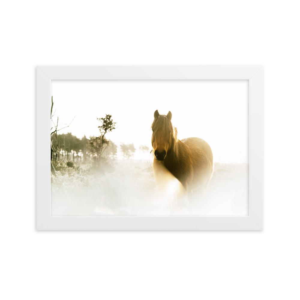 Horse in Dream Pferd im Traum - Poster im Rahmen artlia Weiß / 21×30 cm artlia