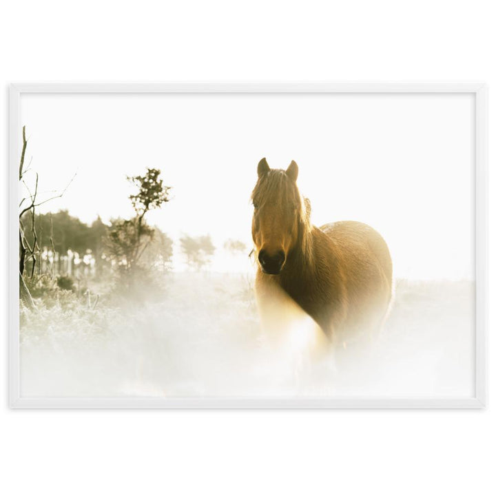 Horse in Dream Pferd im Traum - Poster im Rahmen artlia Weiß / 61×91 cm artlia
