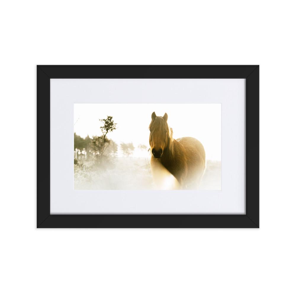 Horse in Dream Pferd im Traum - Poster im Rahmen mit Passepartout artlia Schwarz / 21×30 cm artlia