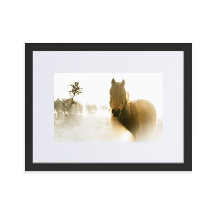 Horse in Dream Pferd im Traum - Poster im Rahmen mit Passepartout artlia Schwarz / 30×40 cm artlia