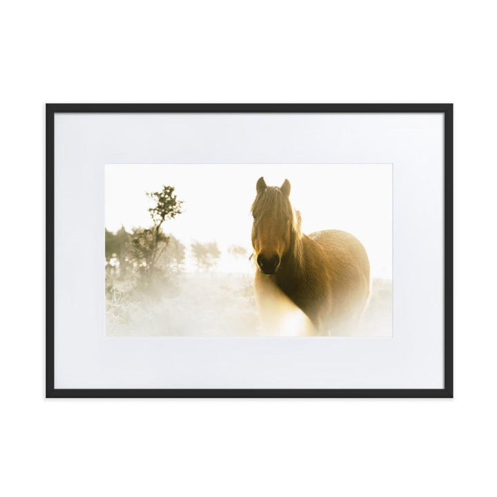 Horse in Dream Pferd im Traum - Poster im Rahmen mit Passepartout artlia Schwarz / 50×70 cm artlia