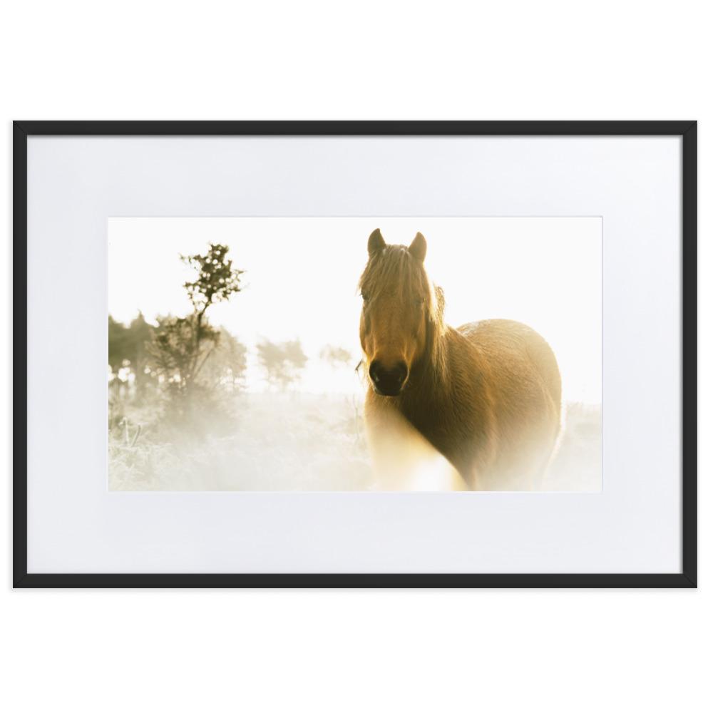 Horse in Dream Pferd im Traum - Poster im Rahmen mit Passepartout artlia Schwarz / 61×91 cm artlia