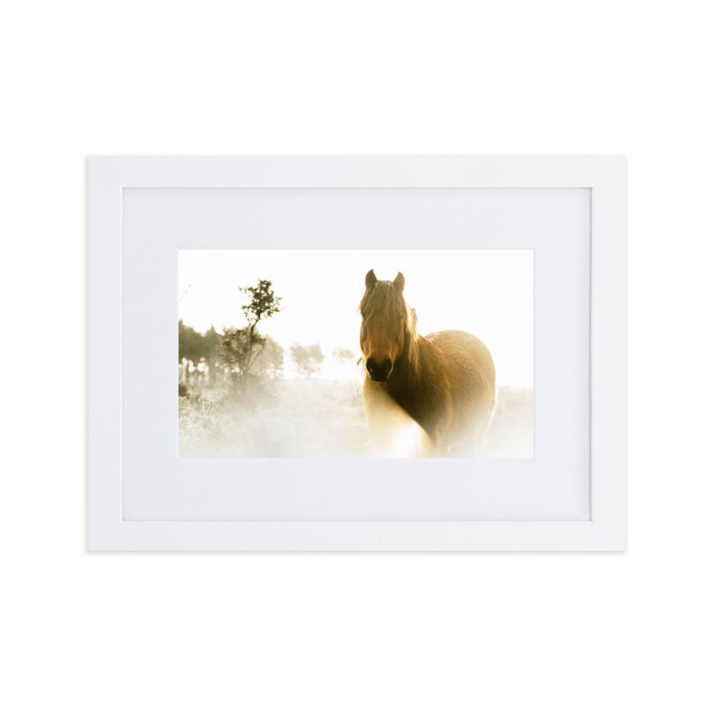 Horse in Dream Pferd im Traum - Poster im Rahmen mit Passepartout artlia Weiß / 21×30 cm artlia
