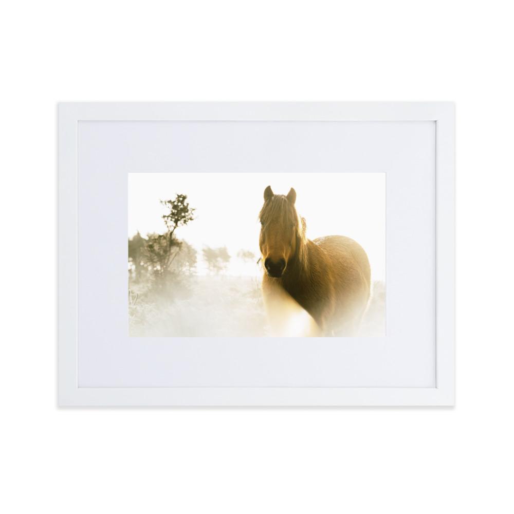 Horse in Dream Pferd im Traum - Poster im Rahmen mit Passepartout artlia Weiß / 30×40 cm artlia