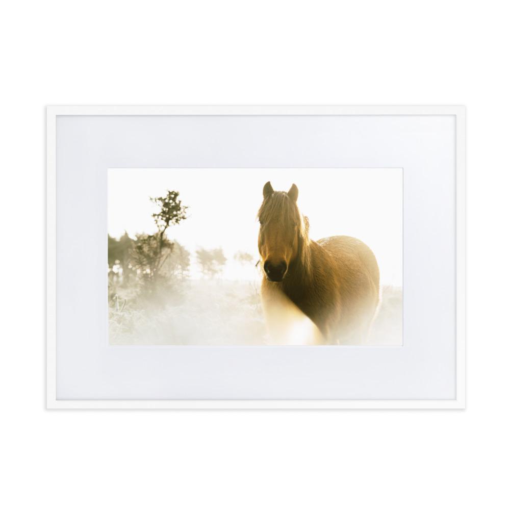 Horse in Dream Pferd im Traum - Poster im Rahmen mit Passepartout artlia Weiß / 50×70 cm artlia