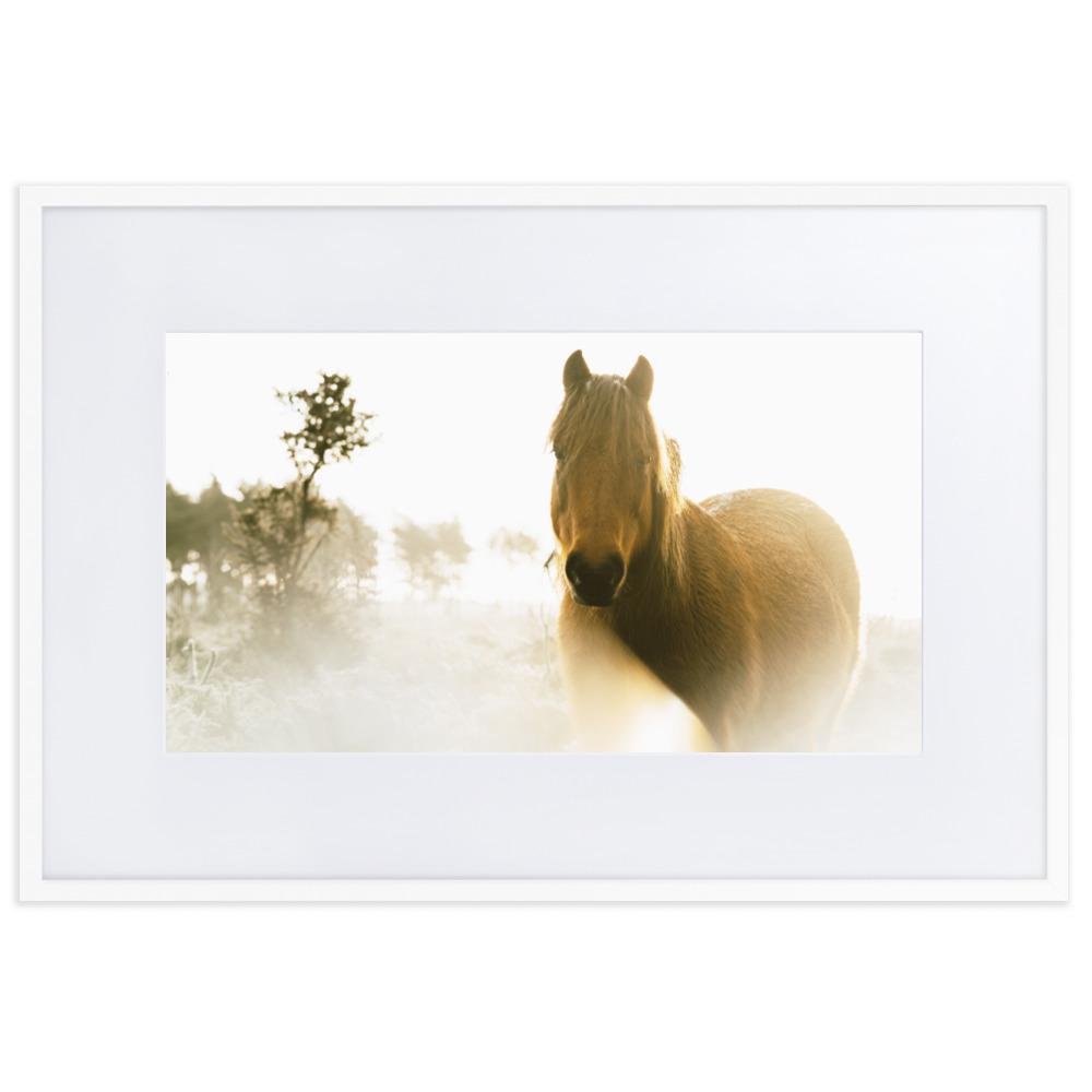 Horse in Dream Pferd im Traum - Poster im Rahmen mit Passepartout artlia Weiß / 61×91 cm artlia