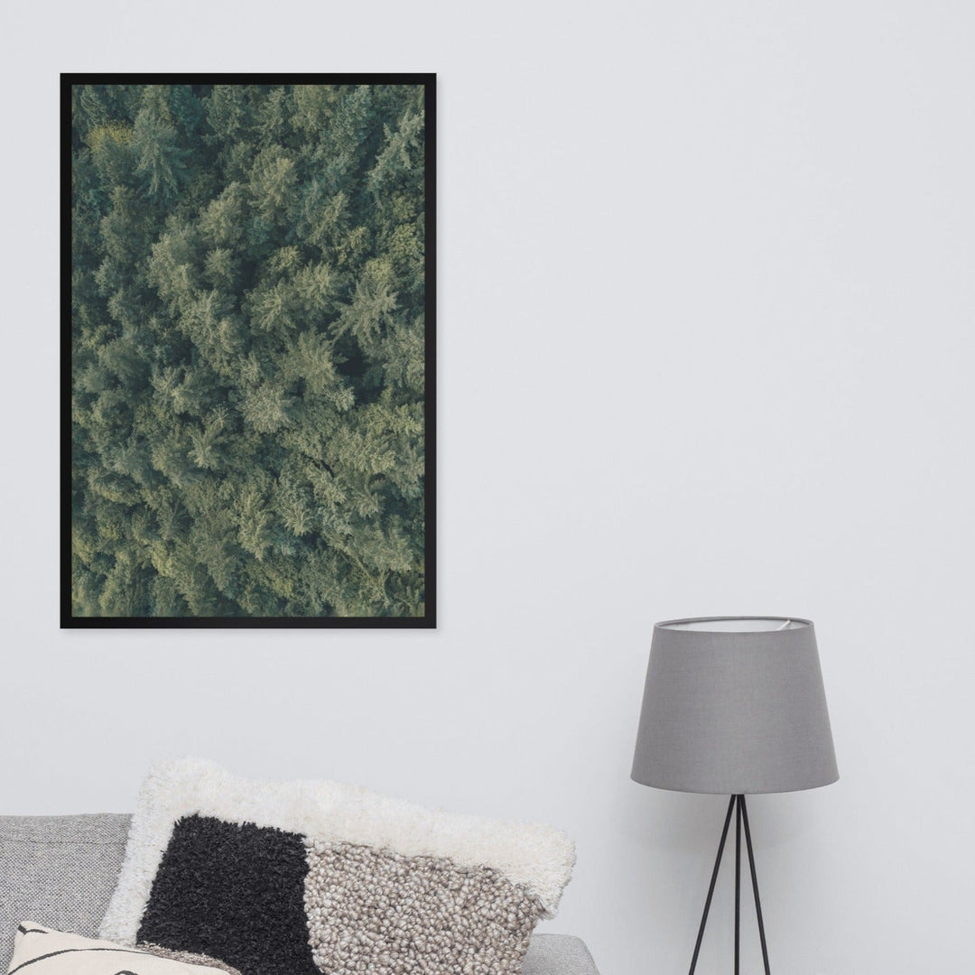 Kiefernwald Pine Forest - Poster im Rahmen Kuratoren von artlia artlia