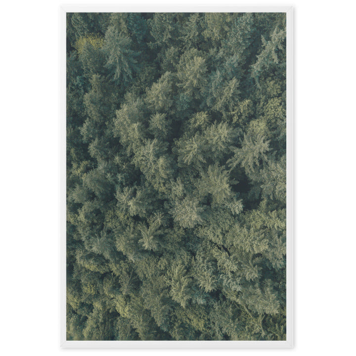 Kiefernwald Pine Forest - Poster im Rahmen Kuratoren von artlia Weiß / 61×91 cm artlia