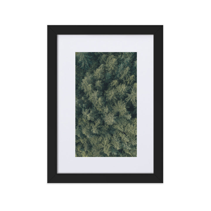 Kiefernwald Pine Forest - Poster im Rahmen mit Passepartout Kuratoren von artlia Schwarz / 21×30 cm artlia