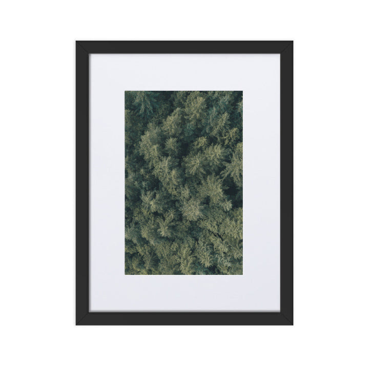 Kiefernwald Pine Forest - Poster im Rahmen mit Passepartout Kuratoren von artlia Schwarz / 30×40 cm artlia