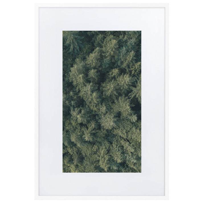 Kiefernwald Pine Forest - Poster im Rahmen mit Passepartout Kuratoren von artlia Weiß / 61×91 cm artlia