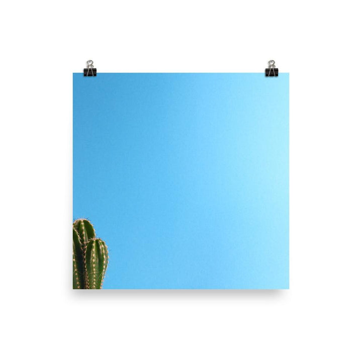 kleiner Kaktus - Poster Kuratoren von artlia 25x25 cm artlia