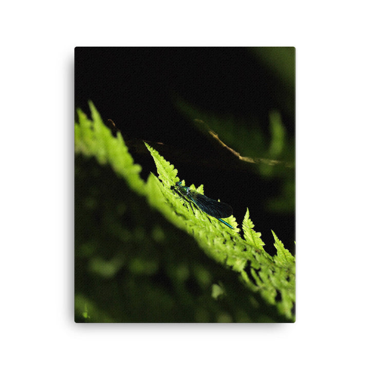 Leinwand - Grüne Libelle Kuratoren von artlia 41x51 cm artlia