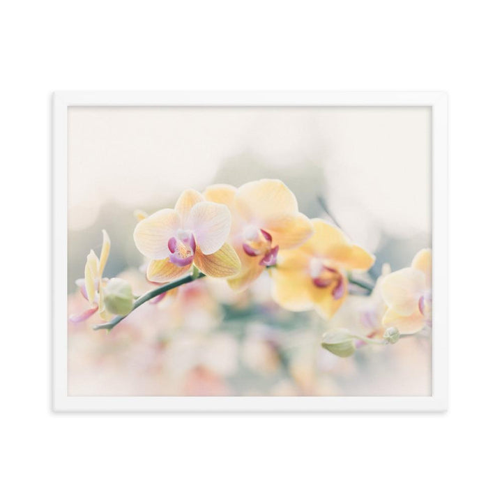 Orchid 01 - Poster im Rahmen artlia Weiß / 16×20 artlia