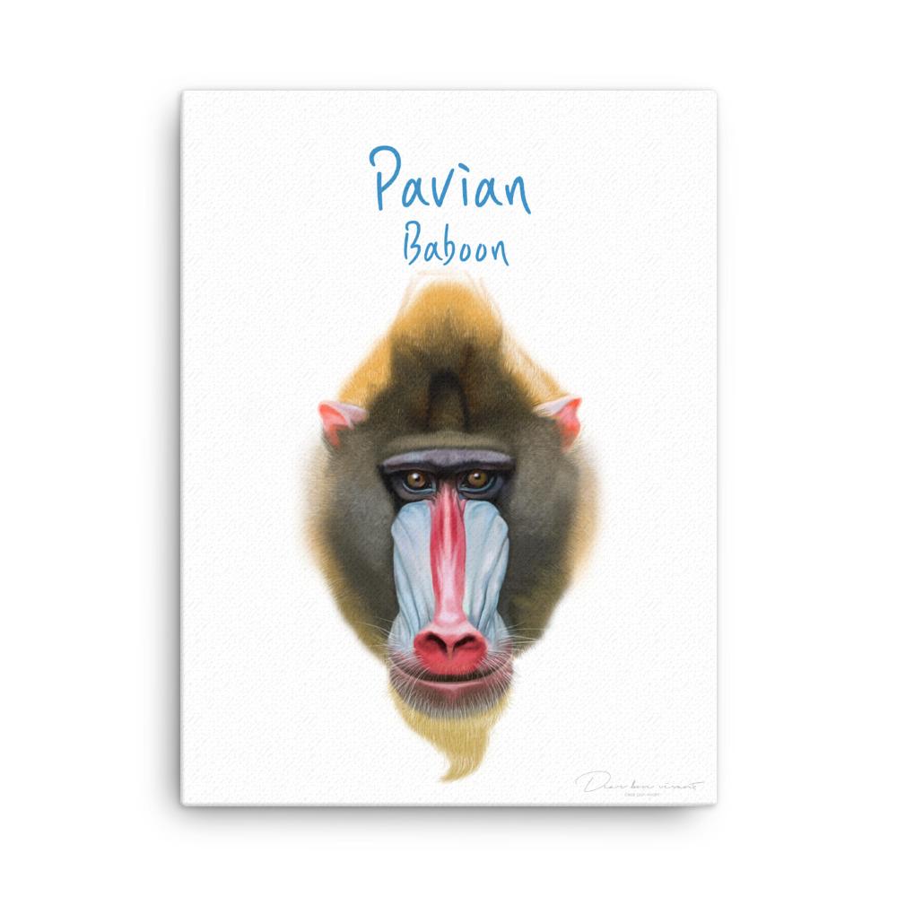 Pavian - Leinwand dear.bon.vivant 30x41 cm artlia
