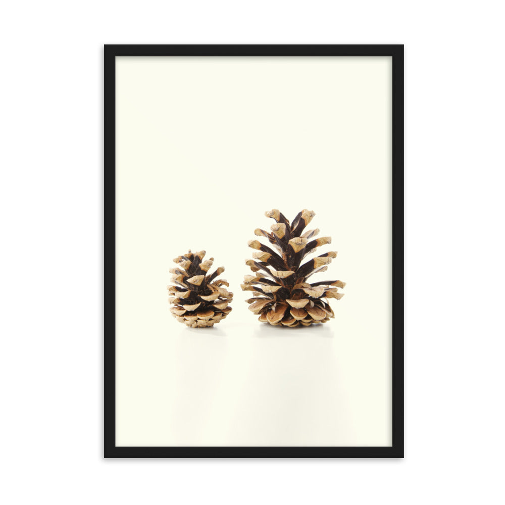 Pine Cone - Poster im Rahmen Kuratoren von artlia Schwarz / 50×70 cm artlia