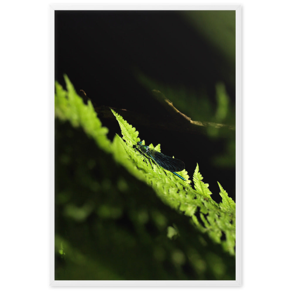 Poster - Grüne Libelle Kuratoren von artlia artlia