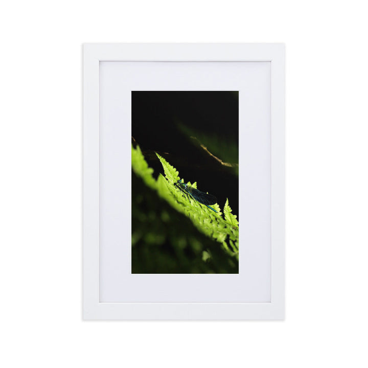 Poster mit Passepartout - Grüne Libelle Kuratoren von artlia Weiß / 21×30 cm artlia