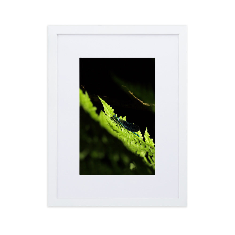 Poster mit Passepartout - Grüne Libelle Kuratoren von artlia Weiß / 30×40 cm artlia