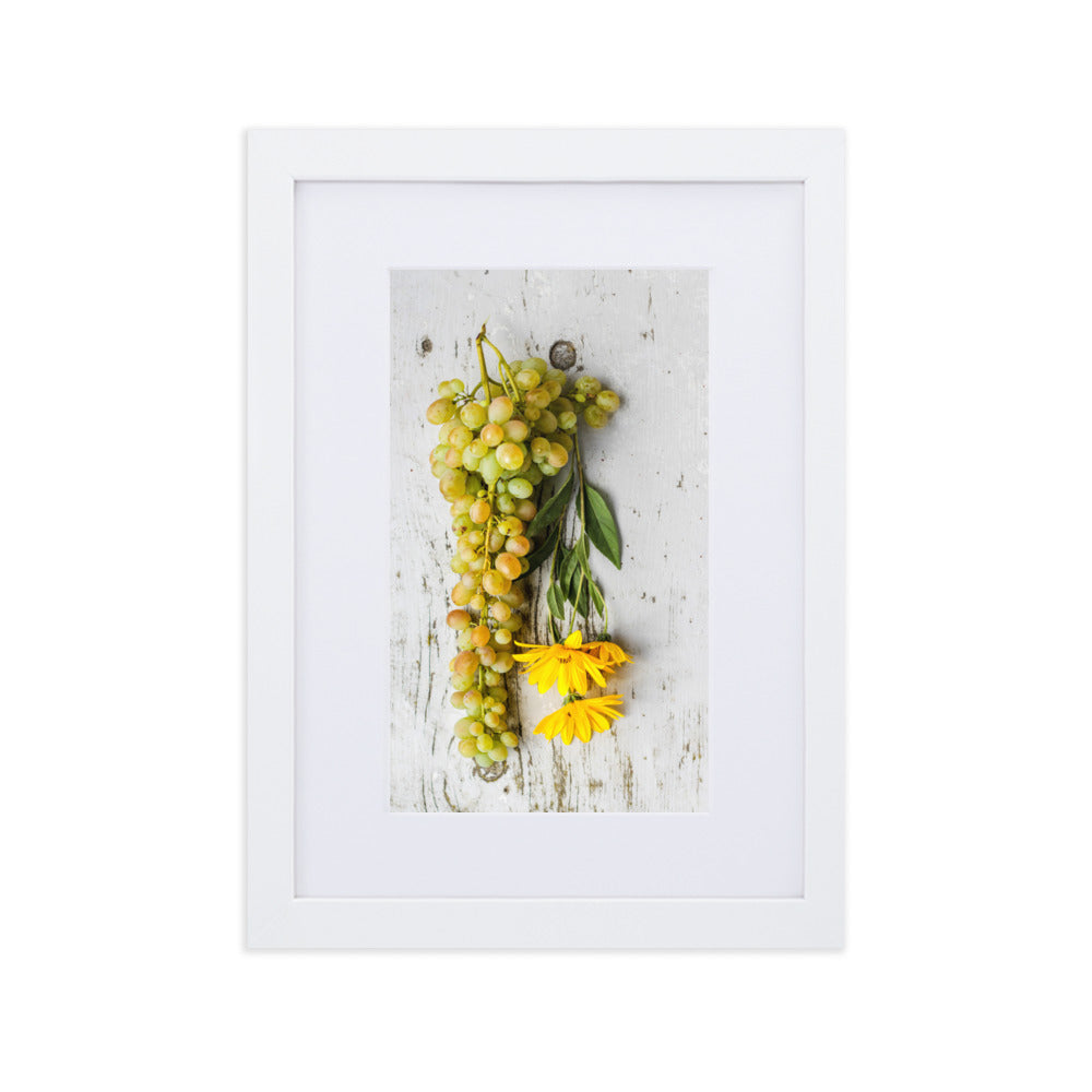 Poster mit Passepartout - Weintrauben und Blumen Kuratoren von artlia Weiß / 21×30 cm artlia